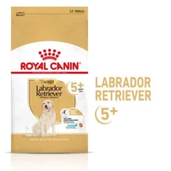 Royal Canin Breed Labrador Retriever Adult 5+ Hondenvoer