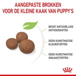 Royal Canin Medium Puppy Hondenvoer -Exporteren Bitiba winkel rc spt dry mediumpuppy cv 4 nl nl 1 5