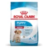 Royal Canin Medium Puppy Hondenvoer 1 Royal Canin Medium Puppy Hondenvoer -Exporteren Bitiba winkel rc spt dry mediumpuppy mv 2 nl nl 1 6