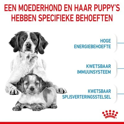 Royal Canin Medium Starter Mother & Babydog Hondenvoer 5 Royal Canin Medium Starter Mother & Babydog Hondenvoer - Afbeelding 3