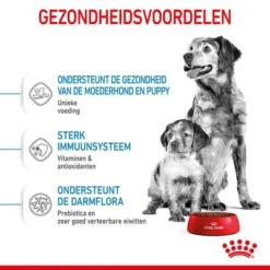 Royal Canin Medium Starter Mother & Babydog Hondenvoer 13 Royal Canin Medium Starter Mother & Babydog Hondenvoer -Exporteren Bitiba winkel rc spt dry mediumstart cv 3 nl nl 1 0