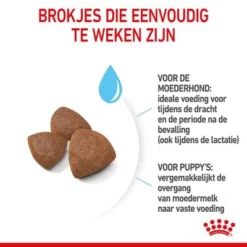 Royal Canin Medium Starter Mother & Babydog Hondenvoer 14 Royal Canin Medium Starter Mother & Babydog Hondenvoer -Exporteren Bitiba winkel rc spt dry mediumstart cv 4 nl nl 1 9