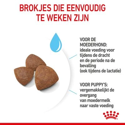 Royal Canin Medium Starter Mother & Babydog Hondenvoer 7 Royal Canin Medium Starter Mother & Babydog Hondenvoer - Afbeelding 5