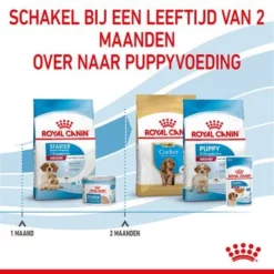 Royal Canin Medium Starter Mother & Babydog Hondenvoer 17 Royal Canin Medium Starter Mother & Babydog Hondenvoer -Exporteren Bitiba winkel rc spt dry mediumstart cv 5 nl nl 1 9