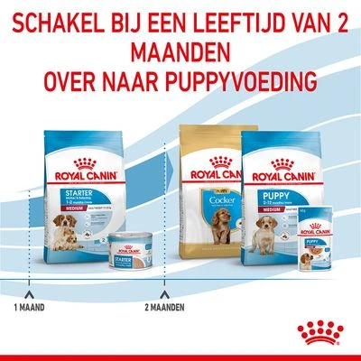 Royal Canin Medium Starter Mother & Babydog Hondenvoer 10 Royal Canin Medium Starter Mother & Babydog Hondenvoer - Afbeelding 8