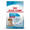 Royal Canin Medium Starter Mother & Babydog Hondenvoer -Exporteren Bitiba winkel rc spt dry mediumstart mv 2 nl nl 1 1