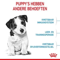 Royal Canin Mini Puppy / Junior Hondenvoer -Exporteren Bitiba winkel rc spt dry minipuppy cv 2 nl nl 1 4