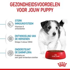 Royal Canin Mini Puppy / Junior Hondenvoer -Exporteren Bitiba winkel rc spt dry minipuppy cv 3 nl nl 1 6