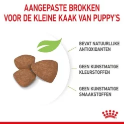 Royal Canin Mini Puppy / Junior Hondenvoer -Exporteren Bitiba winkel rc spt dry minipuppy cv 4 nl nl 1 3