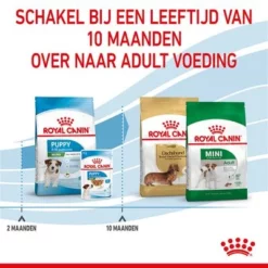 Royal Canin Mini Puppy / Junior Hondenvoer -Exporteren Bitiba winkel rc spt dry minipuppy cv 5 nl nl 1 4