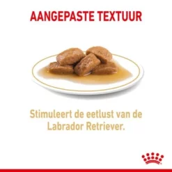 Royal Canin Breed Labrador Retriever Adult Hondenvoer In Saus -Exporteren Bitiba winkel rc spt wet labad cv 2 nl nl 1