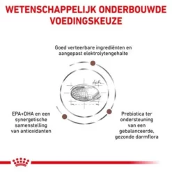 Royal Canin Veterinary - Fibre Response Hondenvoer -Exporteren Bitiba winkel rc vet dry doggastrohf cv eretailkit 3 nl nl 0