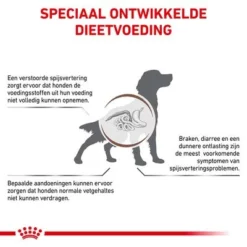 Royal Canin Veterinary - Gastro Intestinal Low Fat Hondenvoer -Exporteren Bitiba winkel rc vet dry doggastrolf cv eretailkit 2 nl nl 3