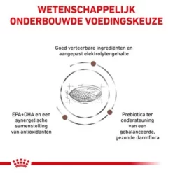 Royal Canin Veterinary - Gastro Intestinal Low Fat Hondenvoer -Exporteren Bitiba winkel rc vet dry doggastrolf cv eretailkit 3 nl nl 7