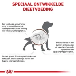 Royal Canin Veterinary - Gastro Intestinal Moderate Calorie Hondenvoer 13 Royal Canin Veterinary - Gastro Intestinal Moderate Calorie Hondenvoer -Exporteren Bitiba winkel rc vet dry doggastromc cv eretailkit 2 nl nl 1