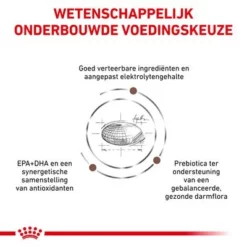 Royal Canin Veterinary - Gastro Intestinal Moderate Calorie Hondenvoer 12 Royal Canin Veterinary - Gastro Intestinal Moderate Calorie Hondenvoer -Exporteren Bitiba winkel rc vet dry doggastromc cv eretailkit 3 nl nl 2