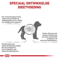 Royal Canin Veterinary - Intestinal Puppy Hondenvoer 10 Royal Canin Veterinary - Intestinal Puppy Hondenvoer -Exporteren Bitiba winkel rc vet dry doggastropu cv eretailkit 2 nl nl 9