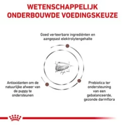 Royal Canin Veterinary - Intestinal Puppy Hondenvoer 11 Royal Canin Veterinary - Intestinal Puppy Hondenvoer -Exporteren Bitiba winkel rc vet dry doggastropu cv eretailkit 3 nl nl 6