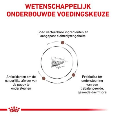 Royal Canin Veterinary - Intestinal Puppy Hondenvoer 6 Royal Canin Veterinary - Intestinal Puppy Hondenvoer - Afbeelding 4