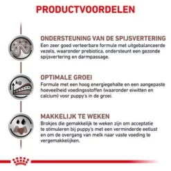 Royal Canin Veterinary - Intestinal Puppy Hondenvoer 12 Royal Canin Veterinary - Intestinal Puppy Hondenvoer -Exporteren Bitiba winkel rc vet dry doggastropu cv eretailkit 4 nl nl 8