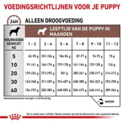 Royal Canin Veterinary - Intestinal Puppy Hondenvoer 13 Royal Canin Veterinary - Intestinal Puppy Hondenvoer -Exporteren Bitiba winkel rc vet dry doggastropu cv eretailkit 6 nl nl 1
