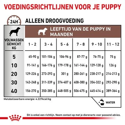 Royal Canin Veterinary - Intestinal Puppy Hondenvoer 8 Royal Canin Veterinary - Intestinal Puppy Hondenvoer - Afbeelding 6