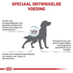 Royal Canin Veterinary - Hypoallergenic Moderate Calorie Hondenvoer 11 Royal Canin Veterinary - Hypoallergenic Moderate Calorie Hondenvoer -Exporteren Bitiba winkel rc vet dry doghypomc cv eretailkit 7 nl nl 6