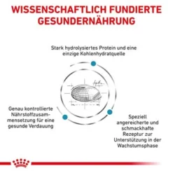 Royal Canin Veterinary Canine Hypoallergenic Puppy -Exporteren Bitiba winkel rc vet dry doghypopu cv eretailkit 2 de de 0