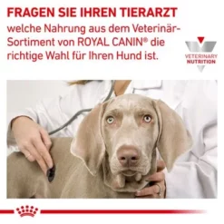 Royal Canin Veterinary Canine Hypoallergenic Puppy -Exporteren Bitiba winkel rc vet dry doghypopu cv eretailkit 6 de de 3