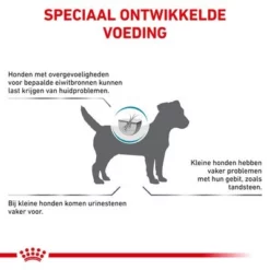 Royal Canin Veterinary - Hypoallergenic Small Dog Hondenvoer -Exporteren Bitiba winkel rc vet dry doghyposd cv eretailkit 9 nl nl 4