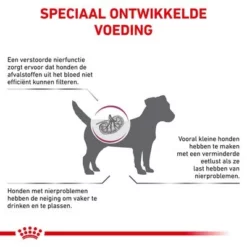 Royal Canin Veterinary Canine Renal Small Hondenvoer -Exporteren Bitiba winkel rc vet dry dogrenalsd cv eretailkit 2 nl nl 2