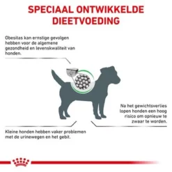 Royal Canin Veterinary Canine Satiety Weight Management Small Dog 16 Royal Canin Veterinary Canine Satiety Weight Management Small Dog -Exporteren Bitiba winkel rc vet dry dogsatietywmsd cv eretailkit 2 nl nl 9