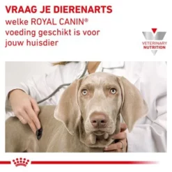 Royal Canin Veterinary Canine Recovery Mousse -Exporteren Bitiba winkel rc vet wet mixrecov195g cv eretailkit 7 nl nl 1