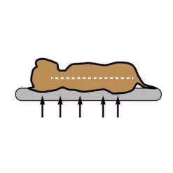 Pawz & Pepper Hondenkussen Denver Ortho -Exporteren Bitiba winkel skizze memory foam 1