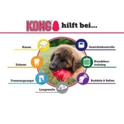 KONG Classic Rood -Exporteren Bitiba winkel solution de1 5