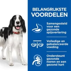 Hill's Science Plan Canine Adult Healthy Cuisine Met Kip Hondenvoer -Exporteren Bitiba winkel sp healthy cuisine thumbnails dog adult benefits nl 9