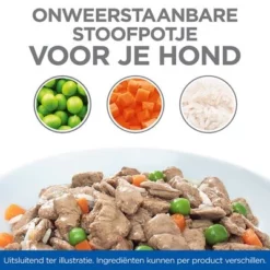 Hill's Science Plan Canine Adult Healthy Cuisine Met Kip Hondenvoer -Exporteren Bitiba winkel sp healthy cuisine thumbnails dog bowl nl 2