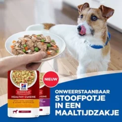 Hill's Science Plan Canine Adult Healthy Cuisine Met Kip Hondenvoer -Exporteren Bitiba winkel sp healthy cuisine thumbnails dog key visual nl 0