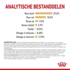 Royal Canin Breed Yorkshire Terrier Adult 8+ Hondenvoer 12 Royal Canin Breed Yorkshire Terrier Adult 8+ Hondenvoer -Exporteren Bitiba winkel spt dry2 1