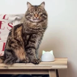 SureFlap Microchip Pet Door Connect - L -Exporteren Bitiba winkel sureflap microchip petdoorconnect hs 10 0