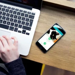 SureFlap Microchip Pet Door Connect - L -Exporteren Bitiba winkel sureflap microchip petdoorconnect hs 13 1