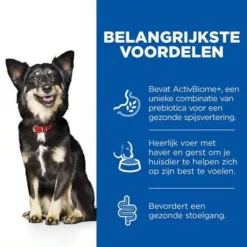 Hill's Science Plan Adult Perfect Digestion Small & Mini Breed Hondenvoer -Exporteren Bitiba winkel thumbnail 12 1