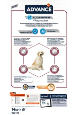 Advance Maxi Senior -Exporteren Bitiba winkel u02 surfnjixodvfqkfds1bbq0suanbn 1521542223190 2