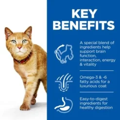Hill's Science Plan Mature Adult Senior Vitality Met Kip & Rijst Kattenvoer 6 Hill's Science Plan Mature Adult Senior Vitality Met Kip & Rijst Kattenvoer -Exporteren Bitiba winkel uk cat mature adult youthful vitality chicken transition benefits 3