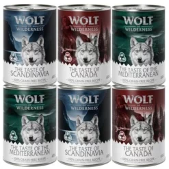 Gemengd Pakket Wolf Of Wilderness Adult 24 Gemengd Pakket Wolf Of Wilderness Adult -Exporteren Bitiba winkel wow the taste of mix 6x400g 0