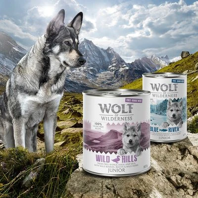 Voordeelpakket 12 X 400 G Wolf Of Wilderness JUNIOR Scharrelvlees 4 Voordeelpakket 12 X 400 G Wolf Of Wilderness JUNIOR Scharrelvlees - Afbeelding 2